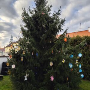 Rozsvěcení vánočního stromu a Mikulášská nadílka ve škole