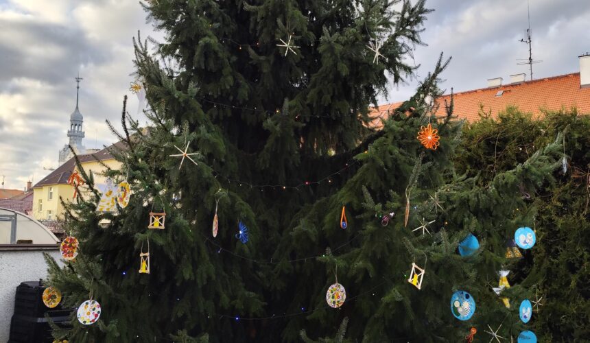 Rozsvěcení vánočního stromu a Mikulášská nadílka ve škole